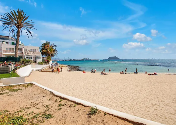 The Sea Shell Fuerteventura