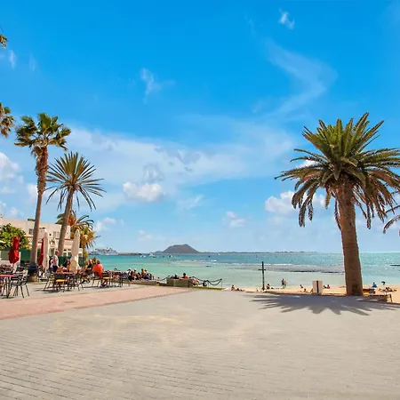 The Sea Shell Fuerteventura *