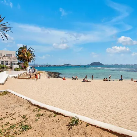 The Sea Shell Fuerteventura