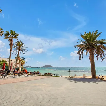 公寓 The Sea Shell Fuerteventura 科拉雷侯