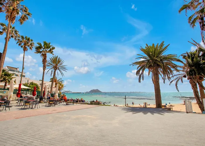 The Sea Shell Fuerteventura *